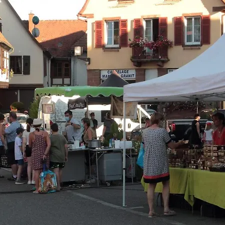 Апартаменты 2 Pers - Le Petit Villois Ville (Bas-Rhin)
